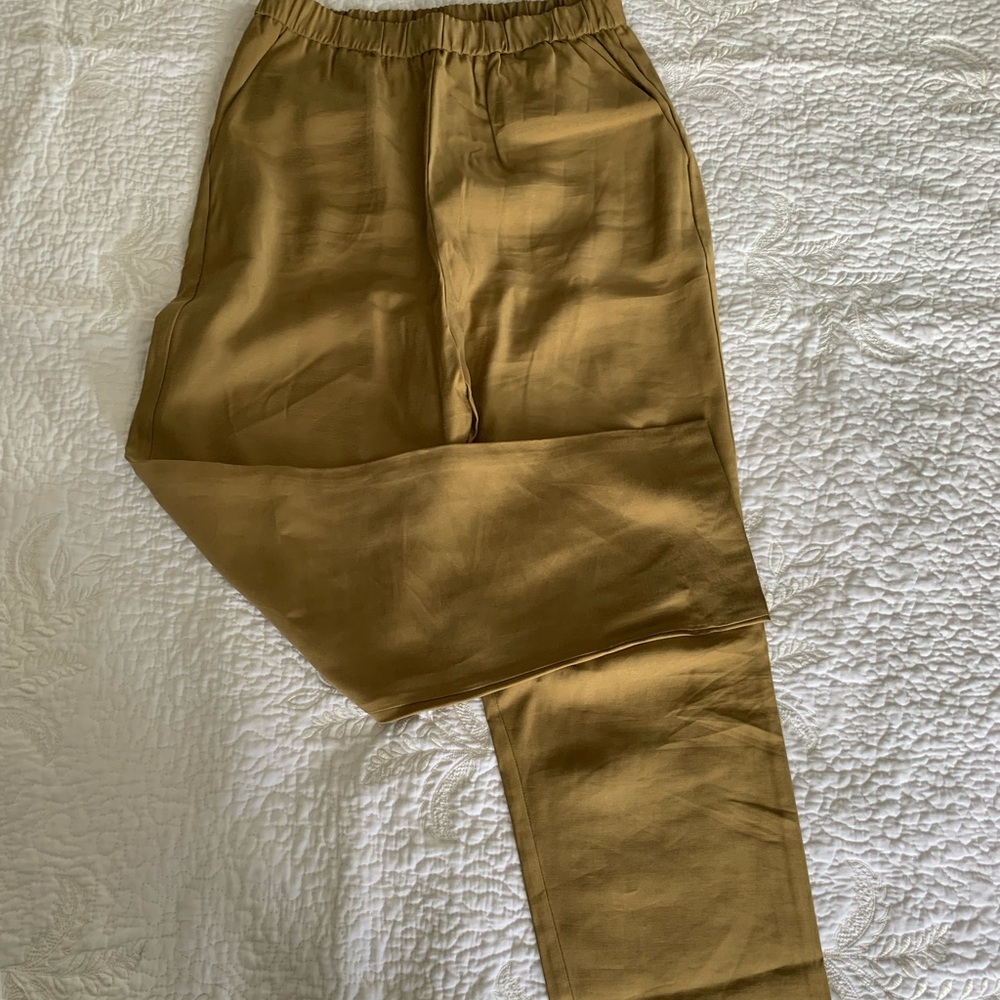 Olive Brown Zara Pants